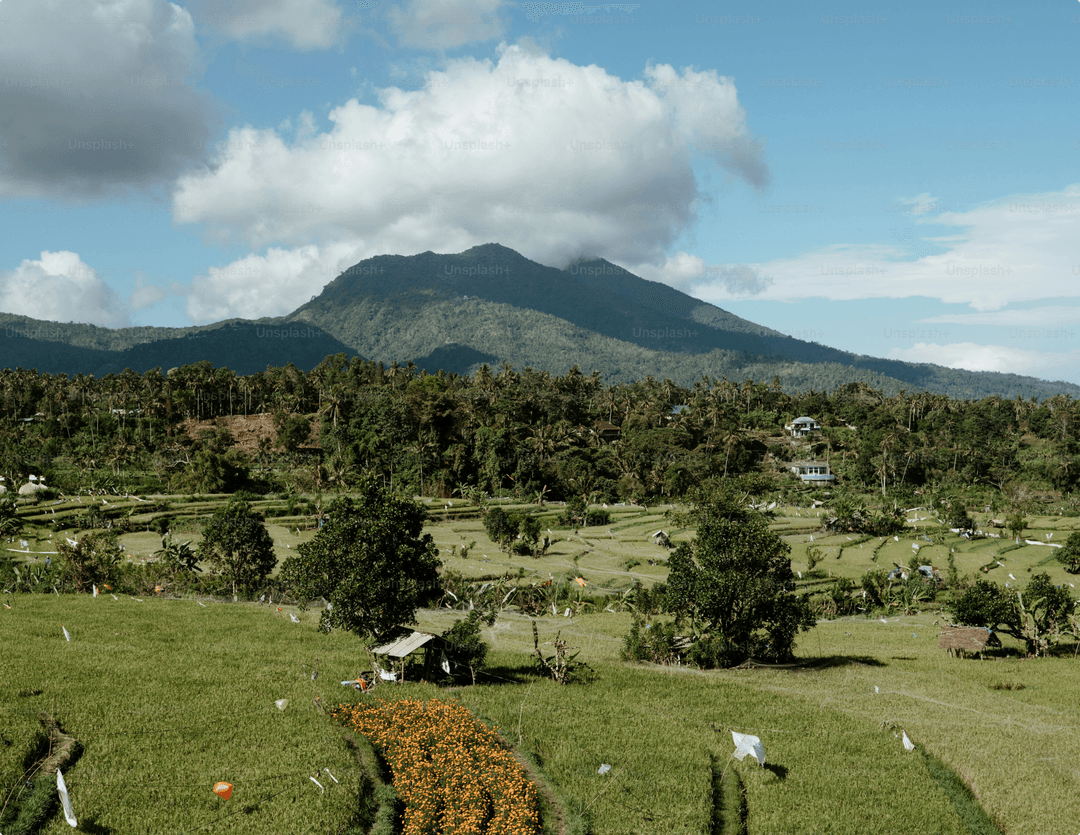 Farm Management